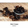 Hongo negro seco Agárico de oreja de madera negra de CHINA